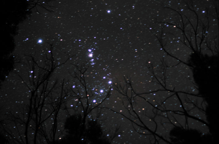 Orion