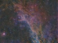 ngc3532