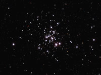 ngc6231